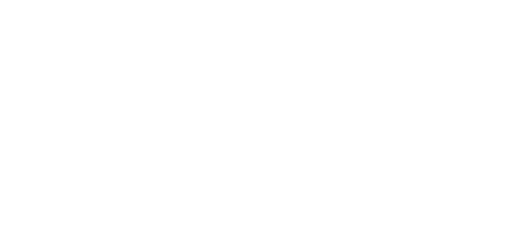 iWork4Sindh Logo