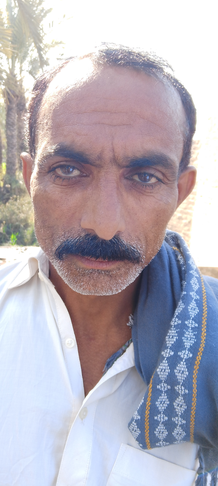 Imtiaz maitlo