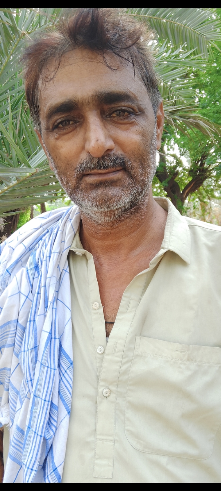 Ali Hassan