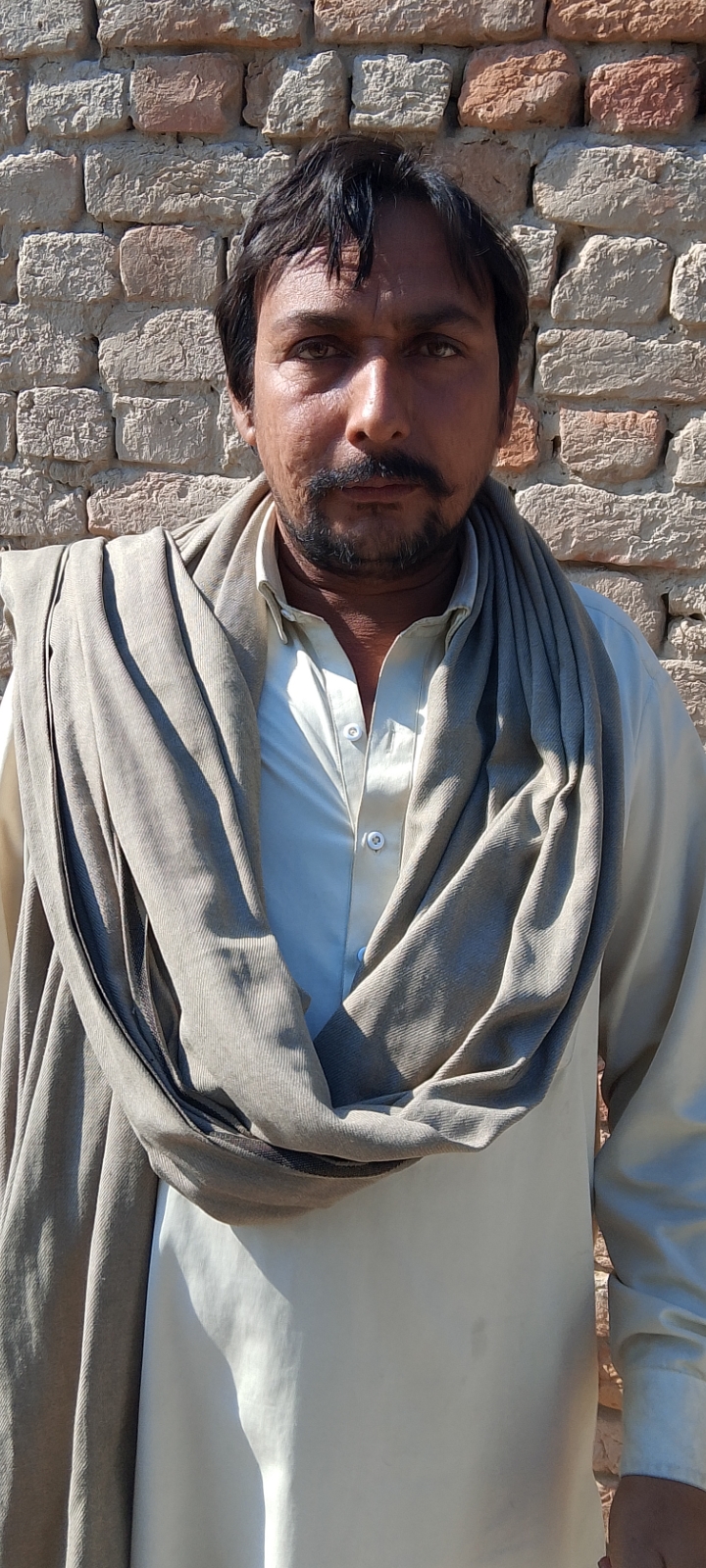 Jawed Ali
