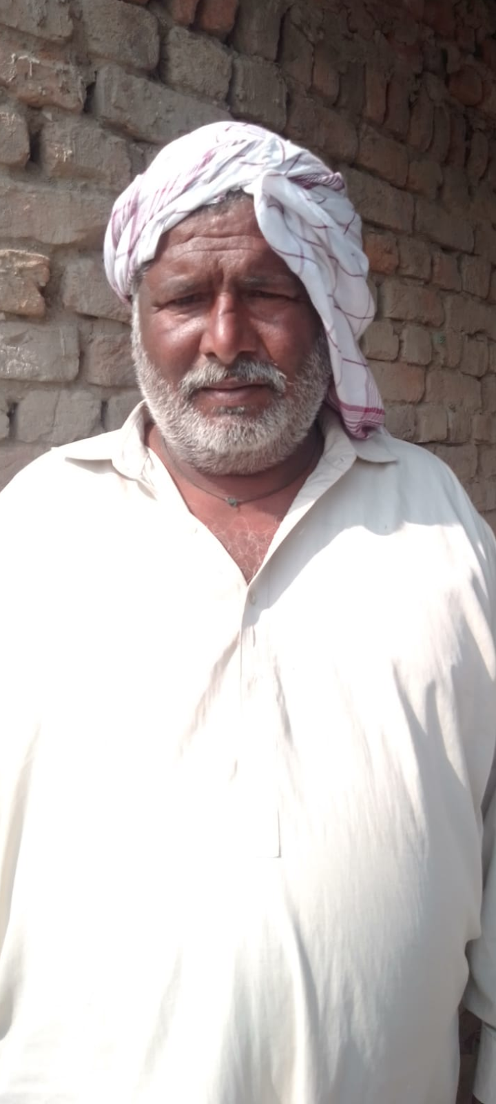 Ali Hassan